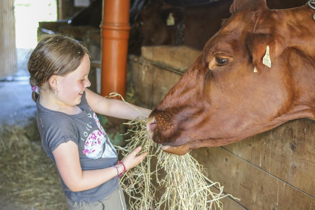 Ferienhof Pfefferbauer Saalbach Hinterglemm Kültér fotó